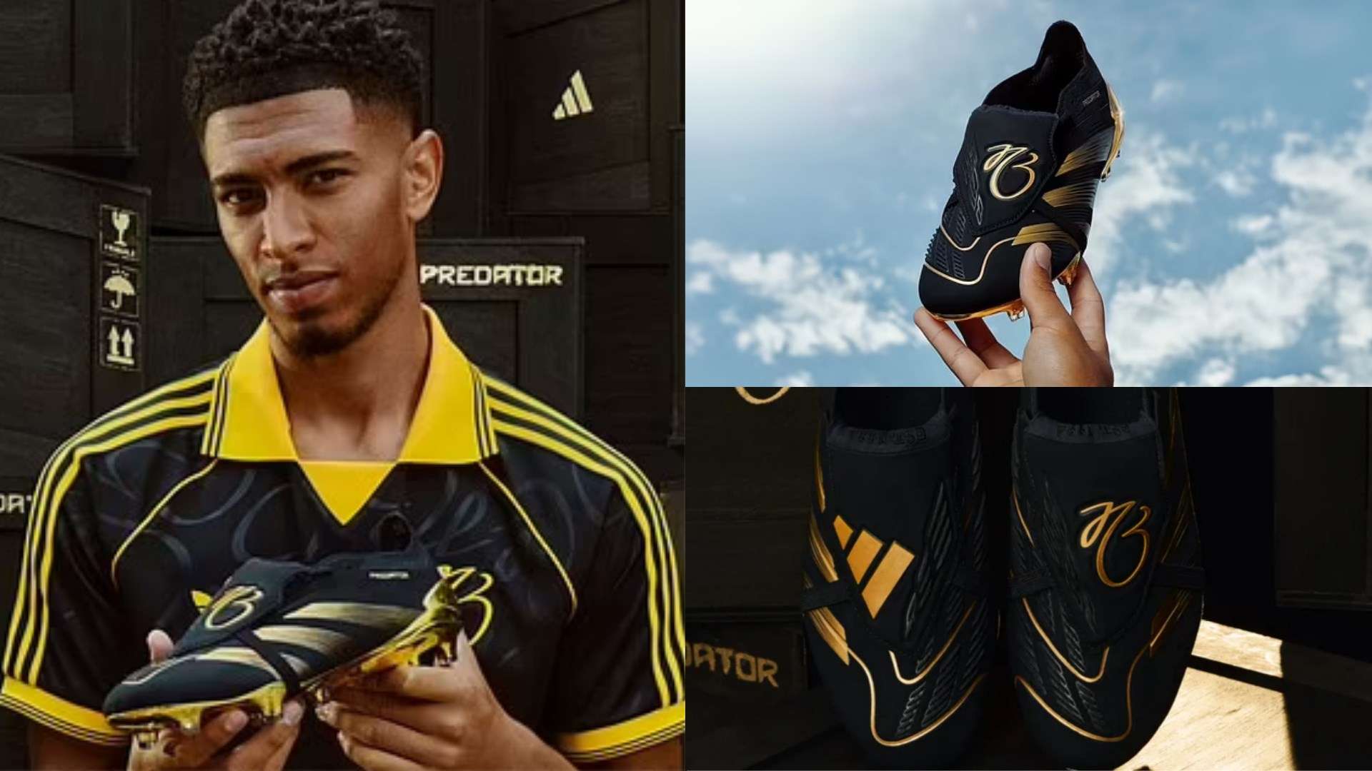 亚洲范围内 亚洲范围内